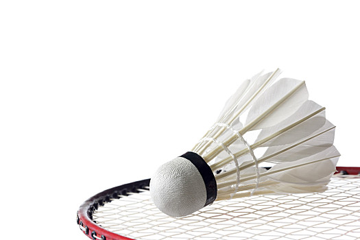 在欧冠级别 在欧冠级别