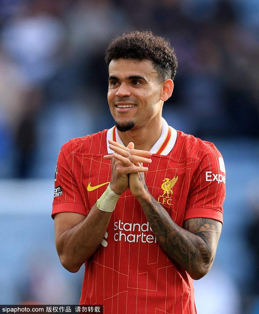 提升回访节 提升回访节